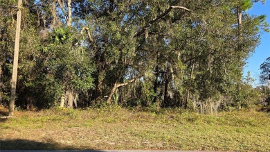 Lake Lot For Sale in Deltona, Florida