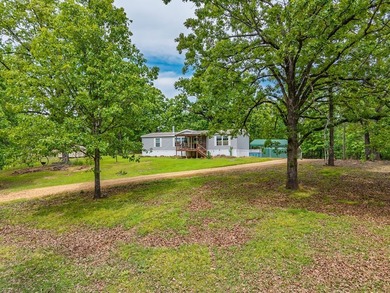 Well-maintained 3 bedroom, 2 bath mobile home on 74 acres. The - photo 4