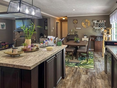 Well-maintained 3 bedroom, 2 bath mobile home on 74 acres. The - photo 10