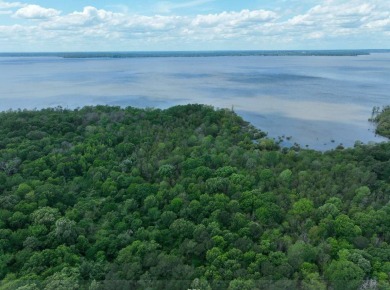 Toledo Bend Reservoir Acreage For Sale in Converse Louisiana