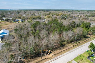 Just blocks from Waveland Beach, this prime 0.5+ acre lot offers - photo 18