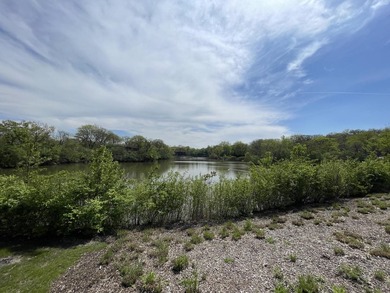 Great view of lake from spacious balcony and wall of windows - photo 18