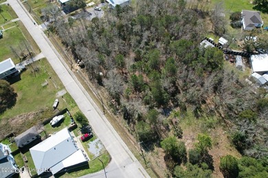 Just blocks from Waveland Beach, this prime 0.5+ acre lot offers - photo 19