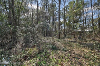 Just blocks from Waveland Beach, this prime 0.5+ acre lot offers - photo 20