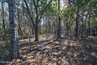 Just blocks from Waveland Beach, this prime 0.5+ acre lot offers - photo 21