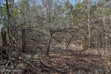 Just blocks from Waveland Beach, this prime 0.5+ acre lot offers - photo 22