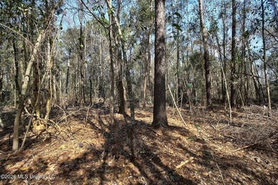 Just blocks from Waveland Beach, this prime 0.5+ acre lot offers - photo 23
