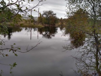 (private lake, pond, creek) Home For Sale in Llano Texas