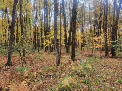 Pymatuning Reservoir Lot For Sale in Andover Ohio