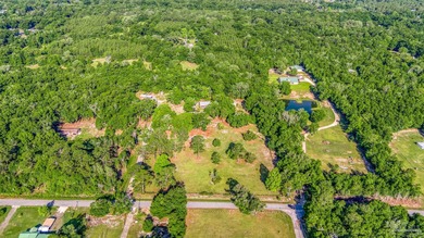 Blackwater River Acreage For Sale in Bagdad Florida