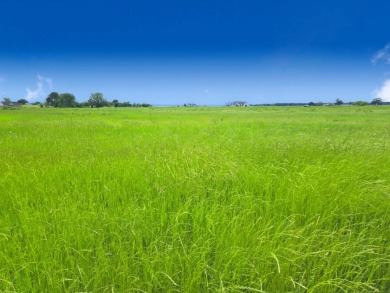 Beautiful 1.03 ac lot in Richland Cove, on Richland Chambers Lake - photo 30