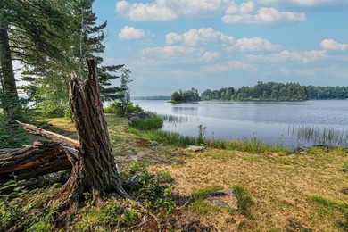 Your own private island-like paradise! Nestled on a peninsula - photo 17