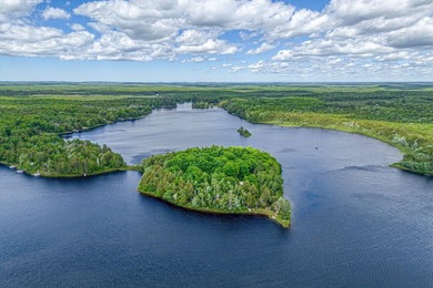 Your own private island-like paradise! Nestled on a peninsula - photo 27