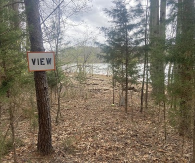 Great lot to build your dream home in Leesville Lake! Gentle lot - photo 11