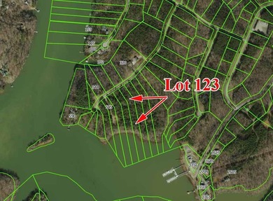 Great lot to build your dream home in Leesville Lake! Gentle lot - photo 13
