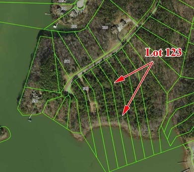 Great lot to build your dream home in Leesville Lake! Gentle lot - photo 14