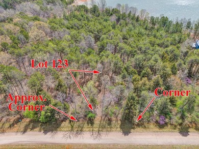 Great lot to build your dream home in Leesville Lake! Gentle lot - photo 16