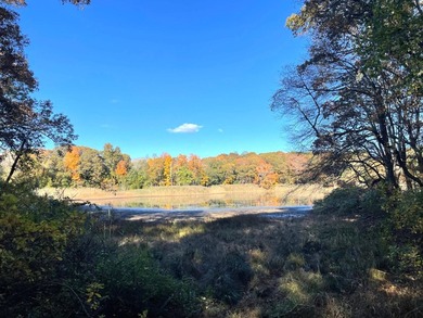 Nestled on the edge of Sag Harbor Village within the celebrated - photo 17