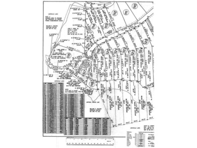 Great lot to build your dream home in Leesville Lake! Gentle lot - photo 19