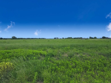 Beautiful 1.03 ac lot in Richland Cove, on Richland Chambers Lake - photo 17