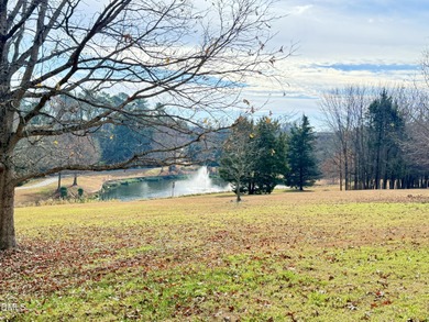 Gorgeous Hilltop Condo end unit overlooking the trees! Refined