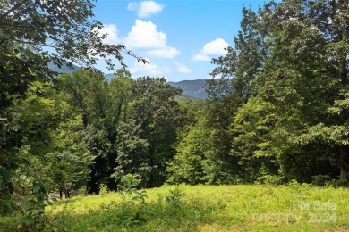 Lake Commercial For Sale in Lake Lure, North Carolina