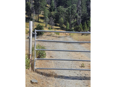 Lake Acreage For Sale in Ruth Lake, California