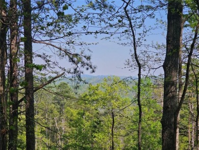 Lake Acreage For Sale in Ranger, Georgia