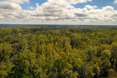 Lake Talquin Acreage For Sale in Quincy Florida