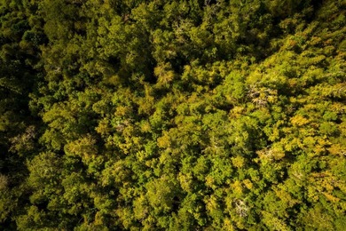 Located in the city limits of Quincy with over 500ft of highway - photo 3