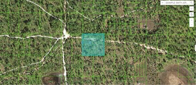 Reedy Lake Acreage For Sale in Frostproof Florida