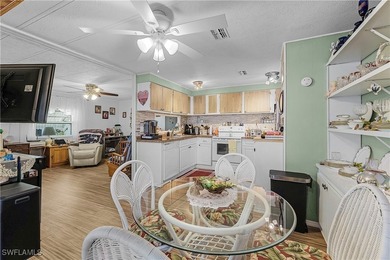 Pine Island Cove 55+ community.munity POOL, HOT TUB, CLUBHOUSE - photo 25