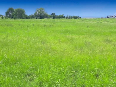 Beautiful 1.03 ac lot in Richland Cove, on Richland Chambers Lake - photo 11