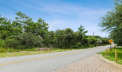 Rare investment offering: a prime .85-acre, ocean-view property - photo 8
