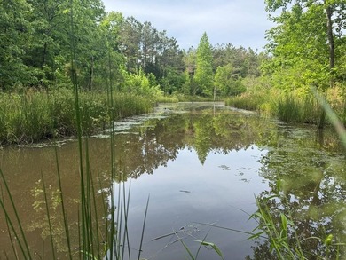 Located just north of Bruce, this 39 acre tract offers a strong - photo 1