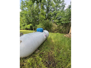 Located just north of Bruce, this 39 acre tract offers a strong - photo 7