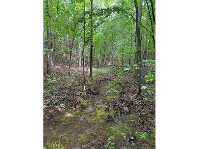 Located just north of Bruce, this 39 acre tract offers a strong - photo 10