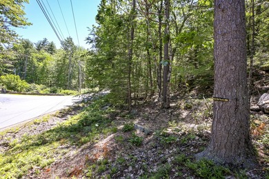 Rare opportunity to own 5 private acres in York with extensive - photo 5