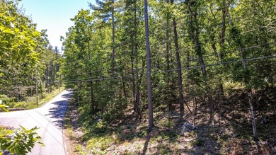 Rare opportunity to own 5 private acres in York with extensive - photo 9