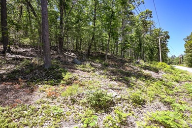 Rare opportunity to own 5 private acres in York with extensive - photo 10