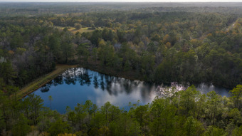 (private lake, pond, creek) Home For Sale in Crestview Florida