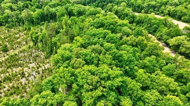 2.97 acre lot nestled on the banks of beautiful Lake Sinclair - photo 11