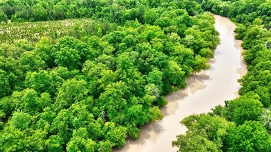 2.97 acre lot nestled on the banks of beautiful Lake Sinclair - photo 12