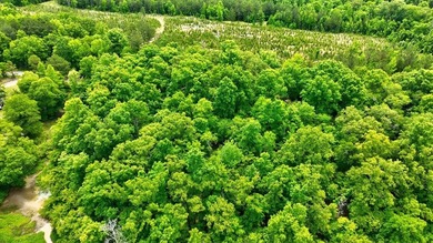 2.97 acre lot nestled on the banks of beautiful Lake Sinclair - photo 13