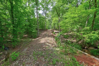 2.97 acre lot nestled on the banks of beautiful Lake Sinclair - photo 15
