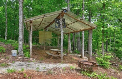 2.97 acre lot nestled on the banks of beautiful Lake Sinclair - photo 16