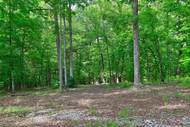 2.97 acre lot nestled on the banks of beautiful Lake Sinclair - photo 19