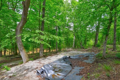 2.97 acre lot nestled on the banks of beautiful Lake Sinclair - photo 20