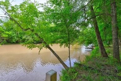 2.97 acre lot nestled on the banks of beautiful Lake Sinclair - photo 24
