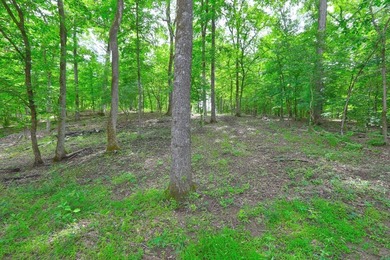 2.97 acre lot nestled on the banks of beautiful Lake Sinclair - photo 25